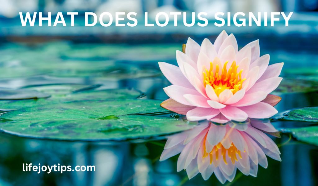 Lotus Significance