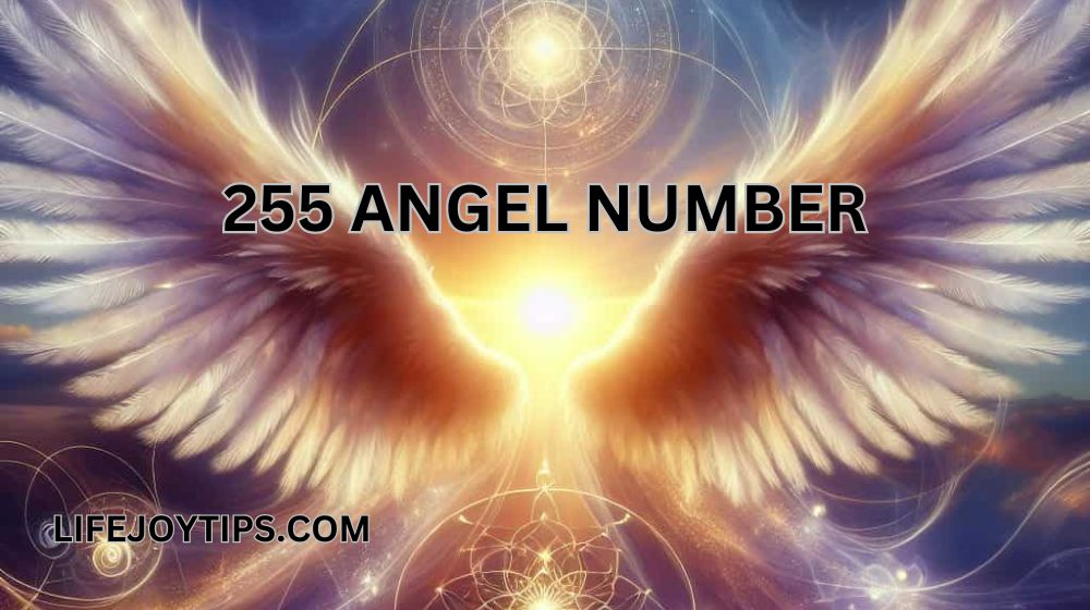 255 angel number